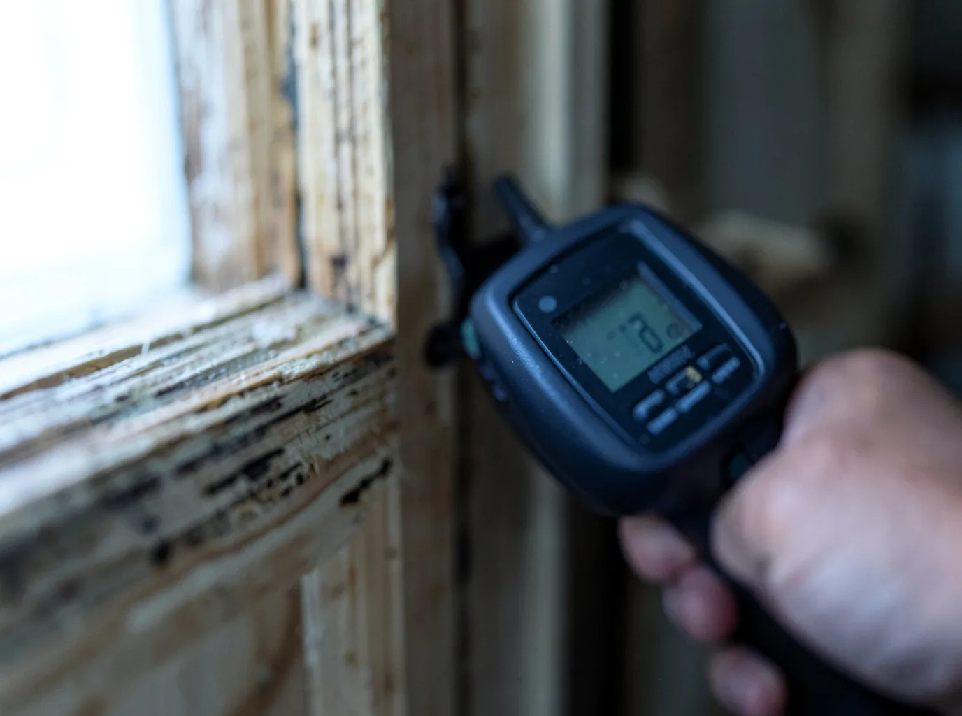 Moisture Inspection And Documentation in Spurgeon, IN